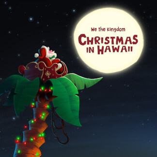 Christmas in Hawaii