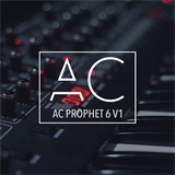 AC Prophet 6 V1 Anthony Catacoli