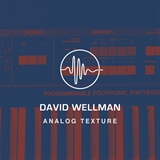Analog Texture David Wellman