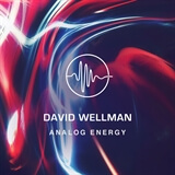 Analog Energy  David Wellman