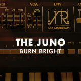 The Juno: Burn Bright Aaron Robertson