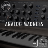 Analog Madness 1 David Andrew