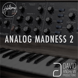Analog Madness 2 David Andrew